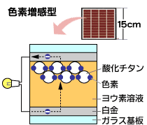 �������n-�F�f�����^